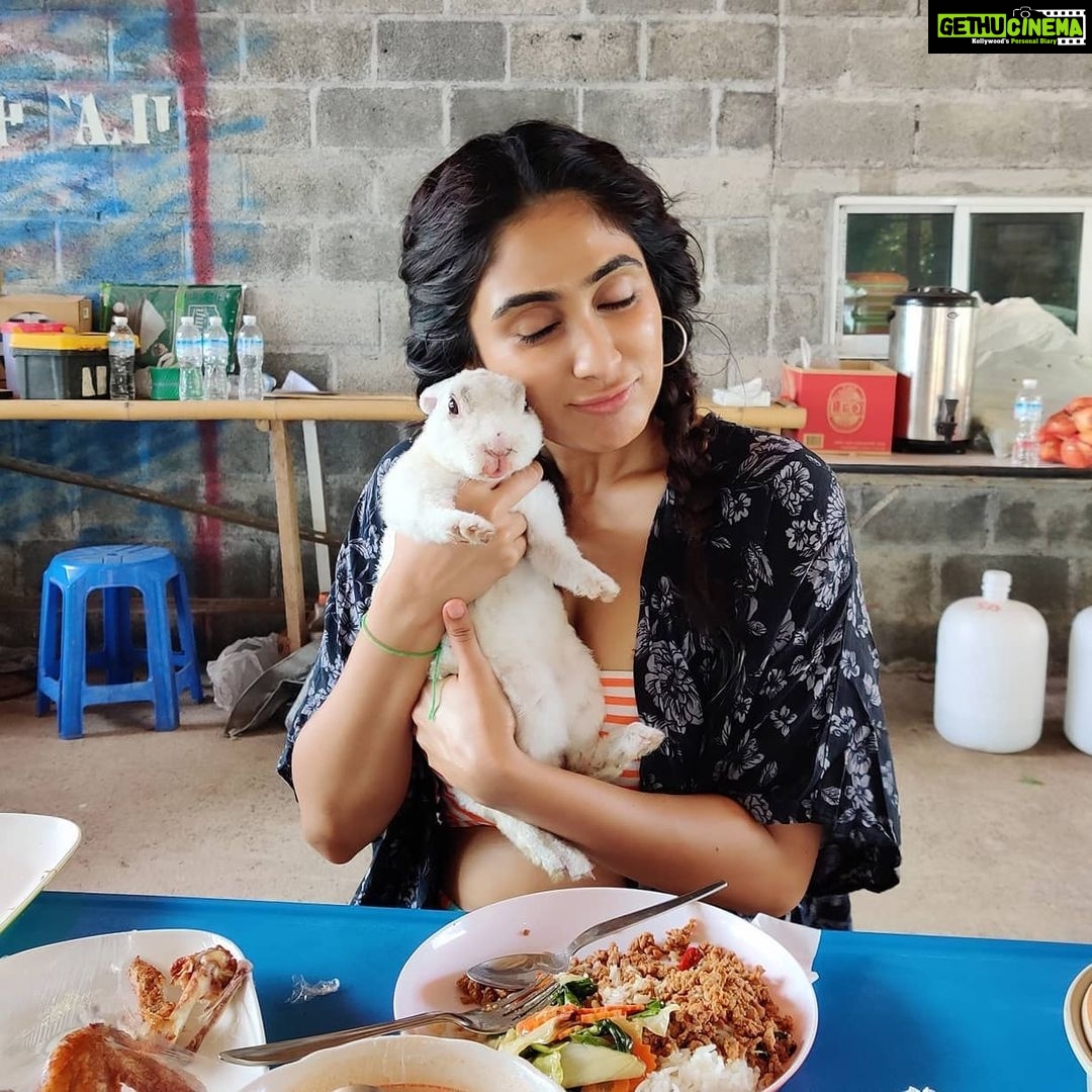Deepti Sati Instagram - This furball ๐๐งก Made me leave my food -that cute he was ๐๐ฌ I could squish him ( but I didn't ) #cutness