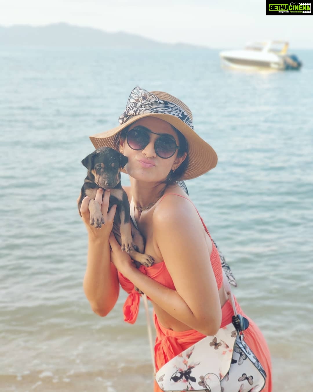 Deepti Sati Instagram - He got fedup of me posing 😆 #toocutecantresist #cutnessoverload #puppygram #beach #love