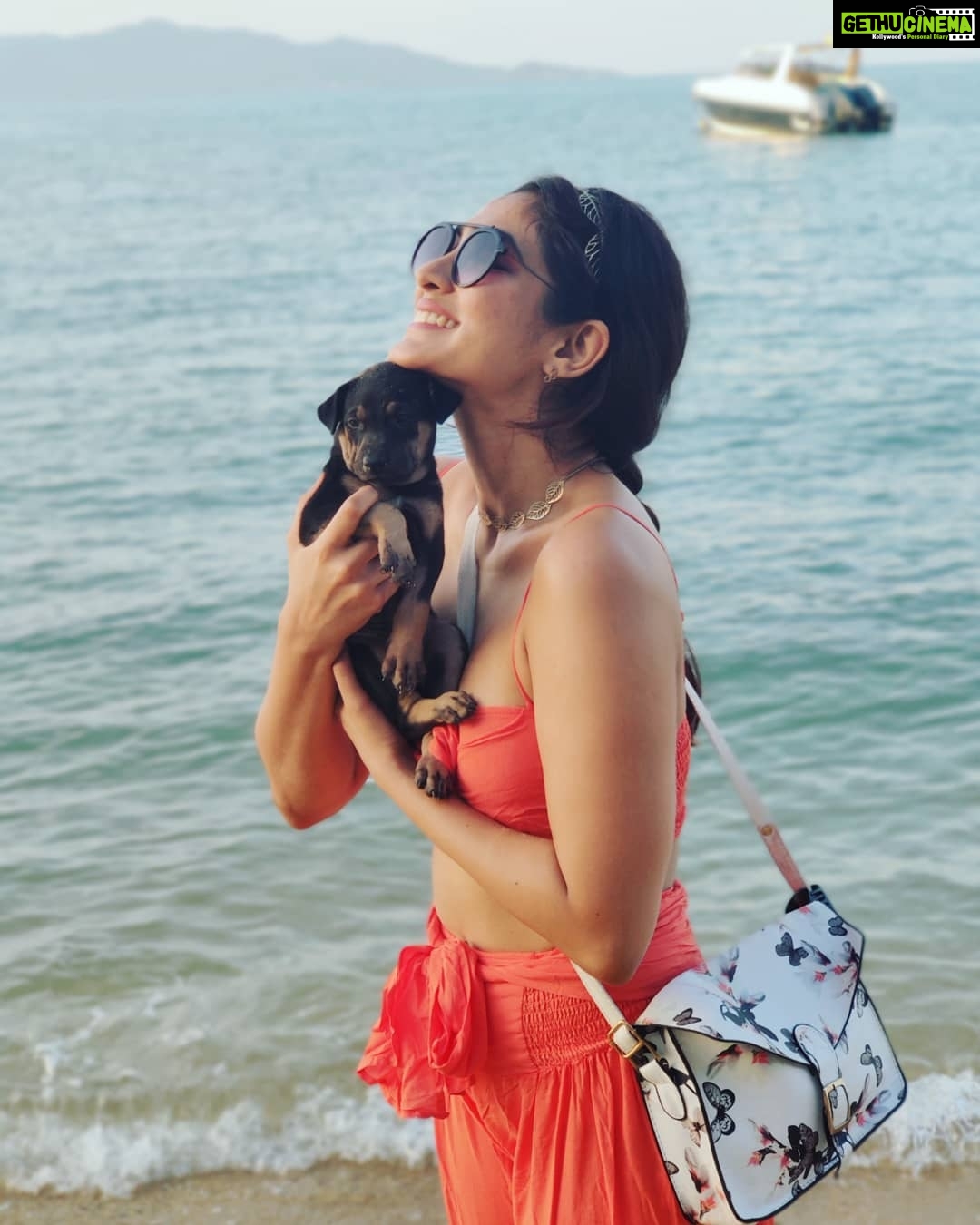 Deepti Sati Instagram - Love by the beach ❣️ #beach #puppylove #puppygram Earth