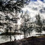 Deepti Sati Instagram - Itnaaaaa 'sun'ataaa 🌥️🌤️ Privileges of the proffesion 🥰 #travelpostcard #sun #tree #peace #unique #bluesky #cloudlove