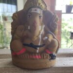 Devadarshini Instagram - Now our handsome Ganesha will grow into a beautiful plant, and bless us throughout the year! 🤩 #ganeshchathurthi #seedganesha #family #happiness