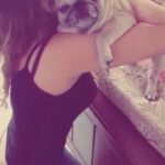 Devshi Khandur Instagram - Her name is jadu and i love her to the moon ❤ #jadu #pug #love #daughter #adorable #unconditionallove #cute #pet