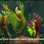 Devshi Khandur Instagram - Thank you swastik group for sending me this cute lyric video of heels meri high hein 😊❤👄 #swastik #birds #dance #heelsmerihighhein #heelsmerihighheinchallenge #devshikhanduri #zeemusic #animation #birdsofinstagram #kidssong #parrots #cute #merakyafaulthein Check out my new music video heels meri high hein........ https://youtu.be/mwSF_4ODJvw Watch like share and support hey guys thank you so much for sending so many videos on heels meri high hein...... videos which i will find the most cutest or craziest, i will post them on my instagram and fb so keep sending me videos on devshikhanduri28@gmail.com or send me yr video link and I will post it here or just post on yr wall and tag me and dont forget to use hashtags #devshikhanduri #heelsmerihighheinchallenge #heelsmerihighhein while posting. #masti #letsgocrazy #letsmakethemfamous #viral #style #dancer #kidstyle #kids #hoonmeinbeautiful #fun #follow
