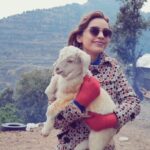 Devshi Khandur Instagram - #devshikhanduri #travel #journey #mountains #uttarakhand #uttarakhandheaven #traveldestination #ballysagoo #vickymarley #beautifuldestinations #kinnachauna #goat #babygoat #cute #dehradun #pahadi #travelgirl #traveldiaries #travelvideos #fun #workholidays #beauty