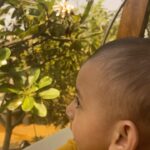 Dia Mirza Instagram – Yes baby, there is a distinct rhythm in nature π―π Keep responding to that beat!
Avyaan Azaad loves talking to plants!