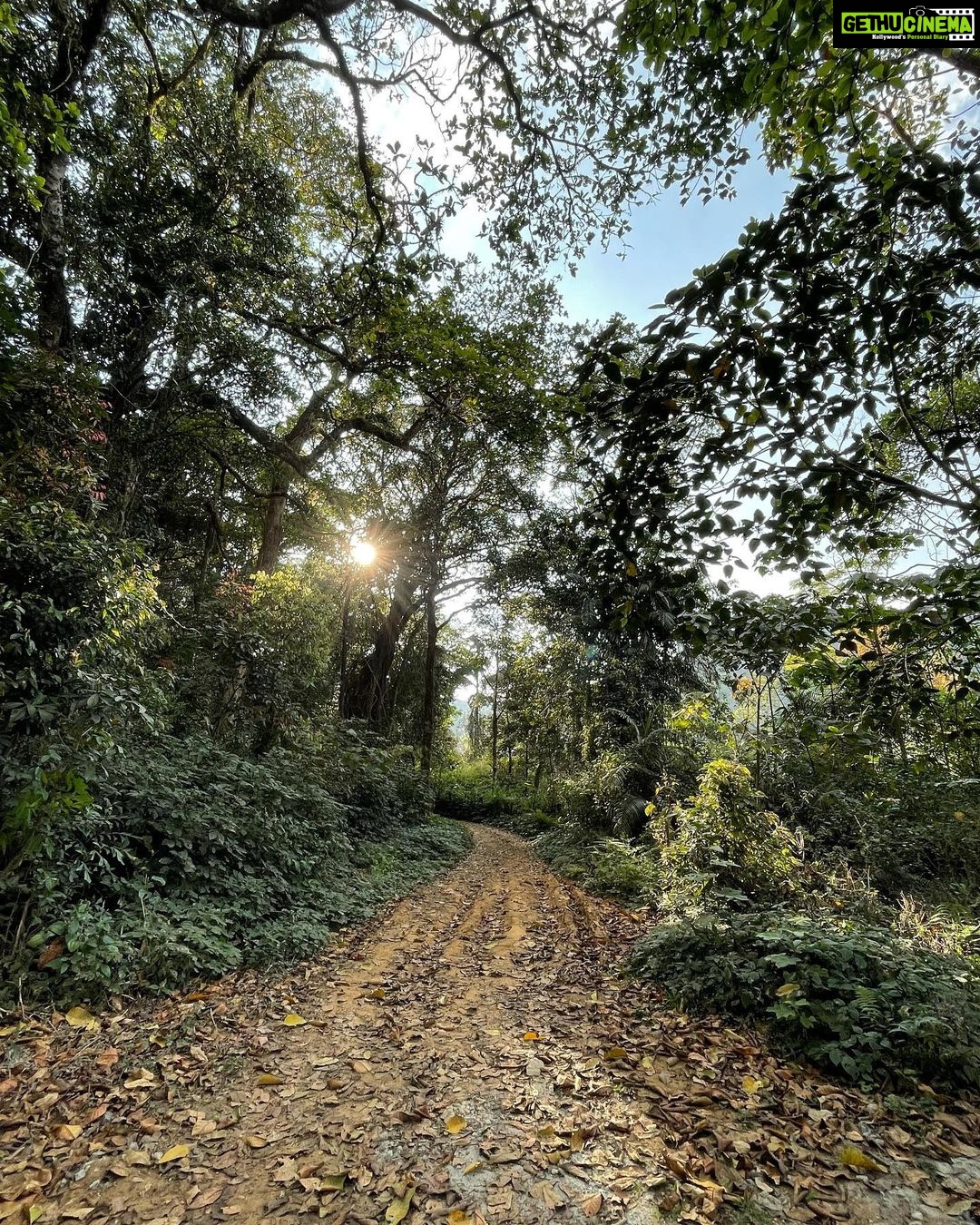 Dia Mirza Instagram - #FlashBackFriday to time spent taking a walk through coffee plantations and the rain forest in Coog🌳 The sacred groves were demarcated by the king and protected by building a temple. The temple houses Bhadra Kaali. Visitors are not permitted in these temples that were built to protect the sacred grove. A Wildlife protection programme that successfully protected these forests. The temples open their doors once in 2 years and in some areas once in 18 years. Our ancestors knew how to Act On Climate. The funnel spider web is so strong that the material is used to make bullet proof vests. In Australia these spiders are harvested to make these vests. The white lichen growing on the rocks are a living proof of clean air. These are also used as a condiment in Indian cooking. The lichen grows only in non-polluted regions. #SDGs #GlobalGoals #GenerationRestoration #BeatPollution #ClimateAction Coorg Karnataka