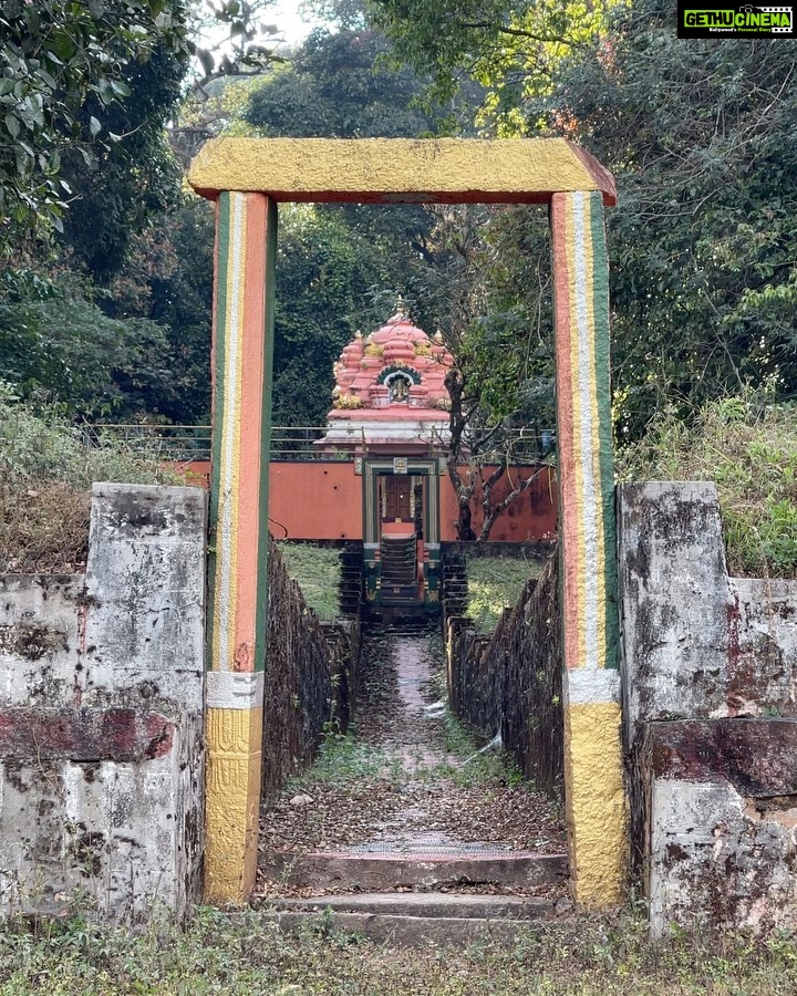Dia Mirza Instagram - #FlashBackFriday to time spent taking a walk through coffee plantations and the rain forest in Coog🌳 The sacred groves were demarcated by the king and protected by building a temple. The temple houses Bhadra Kaali. Visitors are not permitted in these temples that were built to protect the sacred grove. A Wildlife protection programme that successfully protected these forests. The temples open their doors once in 2 years and in some areas once in 18 years. Our ancestors knew how to Act On Climate. The funnel spider web is so strong that the material is used to make bullet proof vests. In Australia these spiders are harvested to make these vests. The white lichen growing on the rocks are a living proof of clean air. These are also used as a condiment in Indian cooking. The lichen grows only in non-polluted regions. #SDGs #GlobalGoals #GenerationRestoration #BeatPollution #ClimateAction Coorg Karnataka