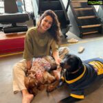 Disha Patani Instagram - @bellagokuchichijasminekeety 🐶🐕🐕‍🦺🐈🐈