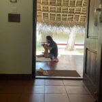 Divya Padmini Instagram – Vacation #vacationvibes#at#cghearth