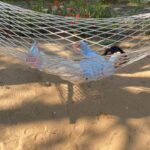 Divya Padmini Instagram – Beach tales…#mararibeach #vacationmode #baby things#happybaby