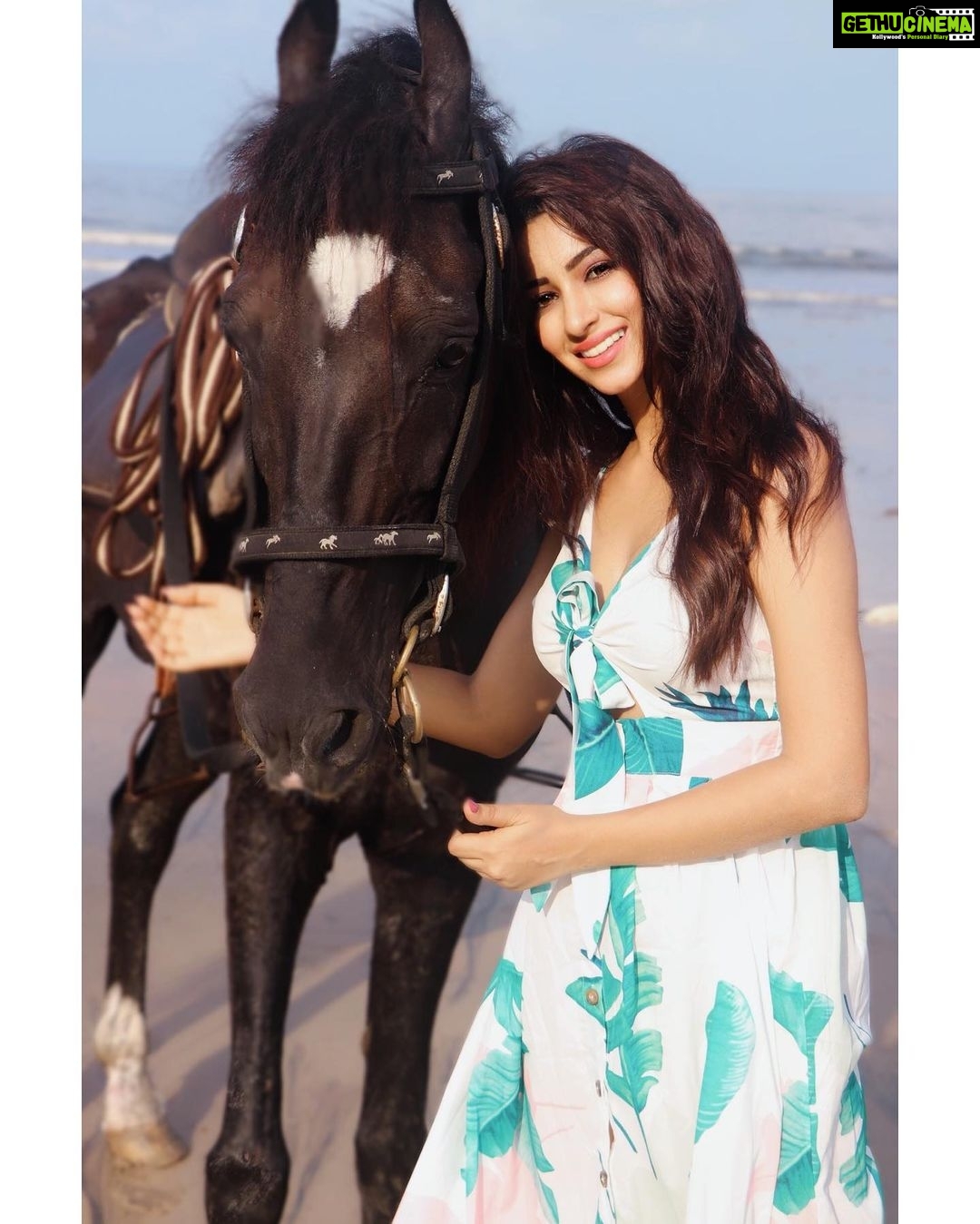 Eshanya Maheshwari Instagram - One touch is all it takes.... To make a girl fall in love with a horse.. Meet badal š“ š #animallover #horse #horsegirl #shein #sheinbeachseason #sheingals #rishinakandhariphotography Outfit- @shein_in @sheinofficial Search id for this dress- 697581 Photo courtesy- @rishinakandhari Use coupon code SHSW05 and get 10% off
