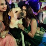 Eshanya Maheshwari Instagram - Best human ❤️ #quarter #pet #doglover #🐶 Khanvel Resort