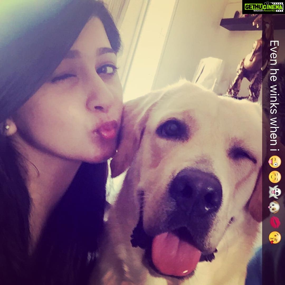Eshanya Maheshwari Instagram - #quatar#πΆππ»ππ
