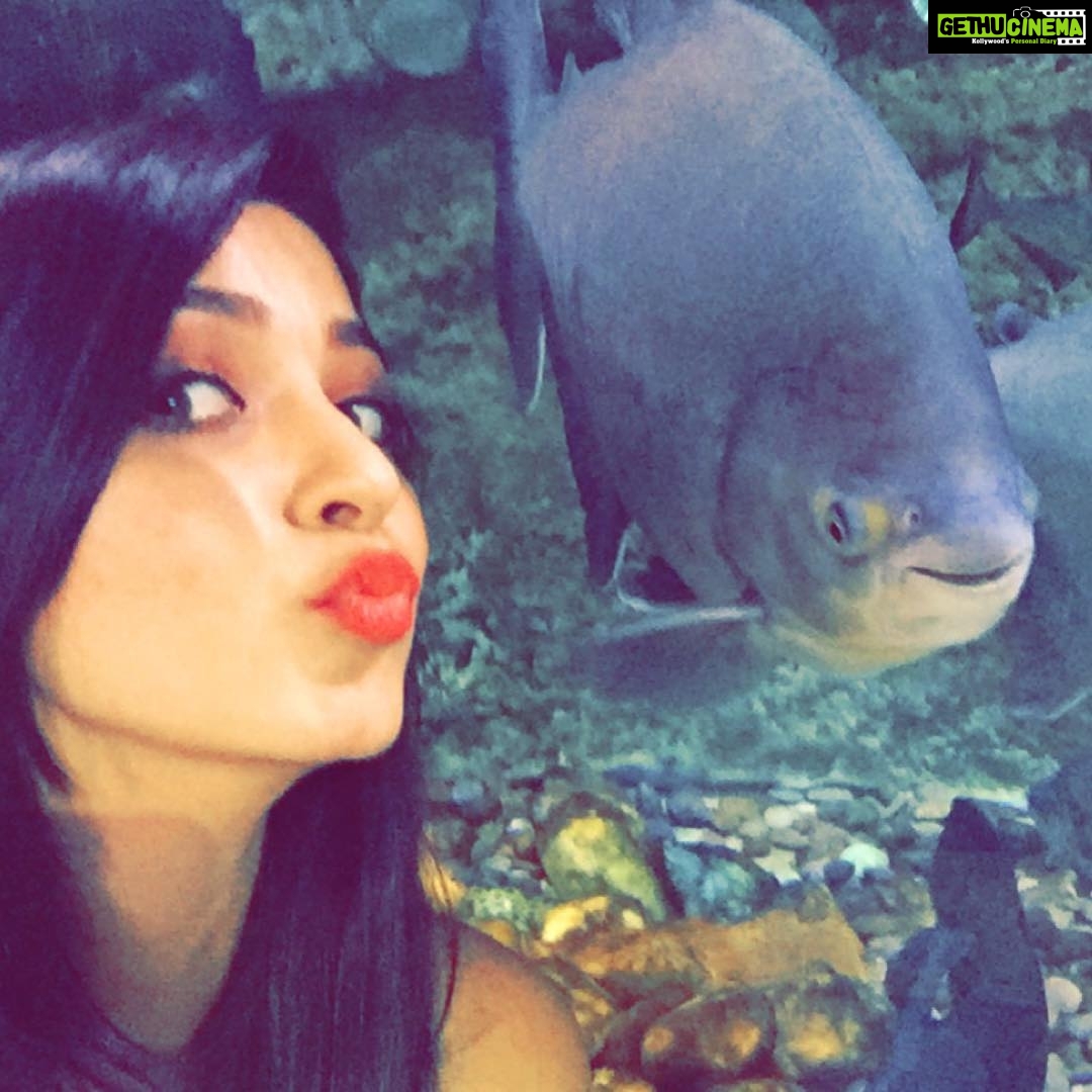Eshanya Maheshwari Instagram - Sharing smile 😃 with this little one 🐟💕 Dubai Marina