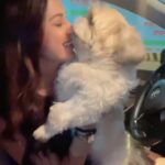 Eshanya Maheshwari Instagram - Lo ji milo #meragoodluck se 🐶 lucky Make reels on this song with your love and good luck of life ❤️ and tag us 💁🏻‍♀️ Best one will go on my stories 😀 @esshanya_s_maheshwari @prabhgillmusic @iammiddha @puneetsbedi @framesingh @maninderkailey @desiroutzofficial @tseries.official @tseriesapnapunjabofficial @eyp_digital