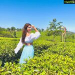 Eshanya Maheshwari Instagram – I want to make memories all over the world 🌍 ☺️ 💫and can’t wait to make some more 🙄 dear corona please go away 🙏 Tea Gardens, Munnar
