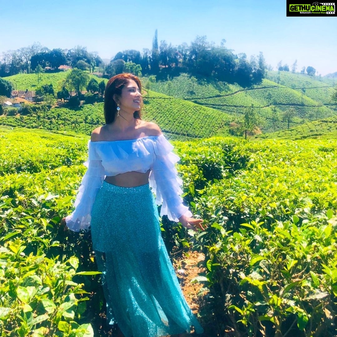 Eshanya Maheshwari Instagram - I want to make memories all over the world ๐ โบ๏ธ ๐ซand canโt wait to make some more ๐ dear corona please go away ๐ Tea Gardens, Munnar