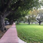 Falguni Rajani Instagram - Super awesome weather in Miami Miami, Florida
