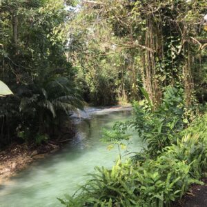 Falguni Rajani Instagram - Bamboo rafting