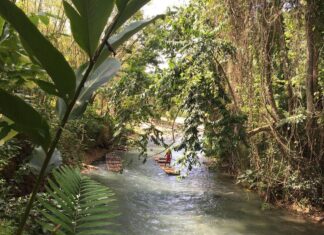 Falguni Rajani Instagram - Bamboo rafting Martha Brae, Trelawny, Jamaica