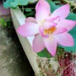 Fathima Babu Instagram -