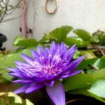 Fathima Babu Instagram –