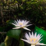 Fathima Babu Instagram –