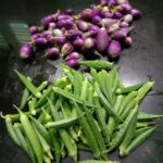 Fathima Babu Instagram - From my terrace garden
