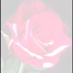 Fathima Babu Instagram -