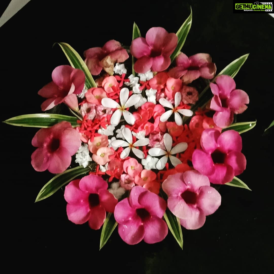 Fathima Babu Instagram - Today's blossoms