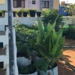 Fathima Babu Instagram - My terrace garden