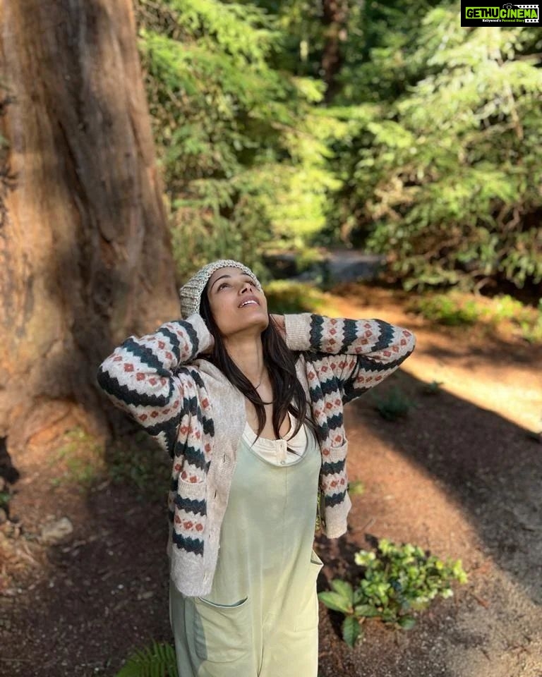 Freida Pinto Instagram - Big Sur called...I answered!