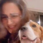 Gajala Instagram – Is this a trend……😻🤣
.
.
.
.
.
.
.
.
#beaglelove #beaglepuppy #gajala #gazala #reelitfeelit #reelsinstagram #reel #reelkarofeelkaro #trending #instagram #insta #instapic #doglover #bucketthebeagle #beaglelove #instadaily #instavideo #trendingreels #mybaby #dogmumma #perfect