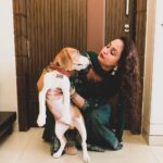 Gajala Instagram - Unconditional LOVE❤️ they are living proof dat good still exists in the world😍 they have a way of finding the people who need em😍. Can’t thank you enuf for getting @bucket_thebeagle in my life🥰 @faisal_miya__photuwale 😘😘. . Outfit: @bibaindia . #beagle #mylove #mybaby #gajala #gazala #unconditionallove #mummysboy #lifeisbeautiful
