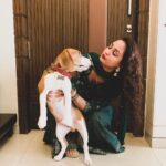 Gajala Instagram – Unconditional LOVE❤️ they are living proof dat good still exists in the world😍 they have a way of finding the people who need em😍. Can’t thank you enuf for getting @bucket_thebeagle in my life🥰 @faisal_miya__photuwale 😘😘.
.
Outfit: @bibaindia .
#beagle #mylove #mybaby #gajala #gazala #unconditionallove #mummysboy #lifeisbeautiful