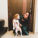 Gajala Instagram - Unconditional LOVE❤️ they are living proof dat good still exists in the world😍 they have a way of finding the people who need em😍. Can’t thank you enuf for getting @bucket_thebeagle in my life🥰 @faisal_miya__photuwale 😘😘. . Outfit: @bibaindia . #beagle #mylove #mybaby #gajala #gazala #unconditionallove #mummysboy #lifeisbeautiful
