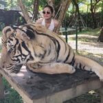 Gajala Instagram - The strongest ones in the world are the ones who stand all alone🐯life time experience ❤️ #onceinalifetime #phuket #phuketthailand #phiphiisland #tigers #love #travel #shootmode #bucketlistplay