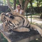 Gajala Instagram - The strongest ones in the world are the ones who stand all alone🐯life time experience ❤️ #onceinalifetime #phuket #phuketthailand #phiphiisland #tigers #love #travel #shootmode #bucketlistplay