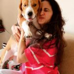 Gajala Instagram - You Are Loved……….❤️😍😻 . . @bucket_thebeagle 🥰😘 .. . . . . #gajala #gazala #bucketthebeagle #pinklove #doglover #dogsofinstagram #dogmom #mybaby #pink #tommyhilfiger #zara #instafashion #instagram #instadaily #purelove #beaglesofinstagram #instastyle #picoftheday