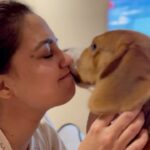 Gajala Instagram - unconditional Love😍 @gazala24 @bucket_thebeagle . . . . . . . . . #reelsinstagram #reelkarofeelkaro #reelitfeelit #faisalgazala #gazala #gajala #doglover #beagle #bucketthebeagle #instapic #instagram #instalike #dogmom #unconditionallove #mybaby