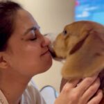 Gajala Instagram – unconditional Love😍 @gazala24 @bucket_thebeagle 
.
.
.
.
.
.
.
.
.
#reelsinstagram #reelkarofeelkaro #reelitfeelit #faisalgazala #gazala #gajala #doglover #beagle #bucketthebeagle #instapic #instagram #instalike #dogmom #unconditionallove #mybaby