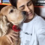 Genelia D'Souza Instagram - My Dearest Baby Boy Flash, Thank you for making me a parent and teaching me to be one.. You make me want to be a better person I can’t remember anyone who consistently is so happy to see me except you 💚💚💚 ( Ya that applies to Baba @riteishd) My sunshine doesn’t come from the skies, it comes from the love I see in my dogs eyes Happy Birthday Flash💚💚💚 #dogoftheday #reelitfeelit