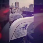 Gurleen Chopra Instagram - New month, new Beginning and new challenges 🤸‍♀🏋‍♂ Always remind yourself to not settle. Refuse to settle for people, relationships, jobs, etc that don’t push you to challenge yourself and ultimately better yourself. Cheers to #April Month2019 #gymlovers #legsworkout #motivationalgymvideos thankyou @ashu_verma9 for dis lovely video..... let’s welcome new month with hardcore work out guys love u all....... GURLEN Mumbai, Maharashtra