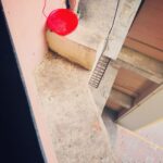 Gurleen Chopra Instagram – Please keep a bowl of water in your balcony of terrace SAVE BIRDS 🦅