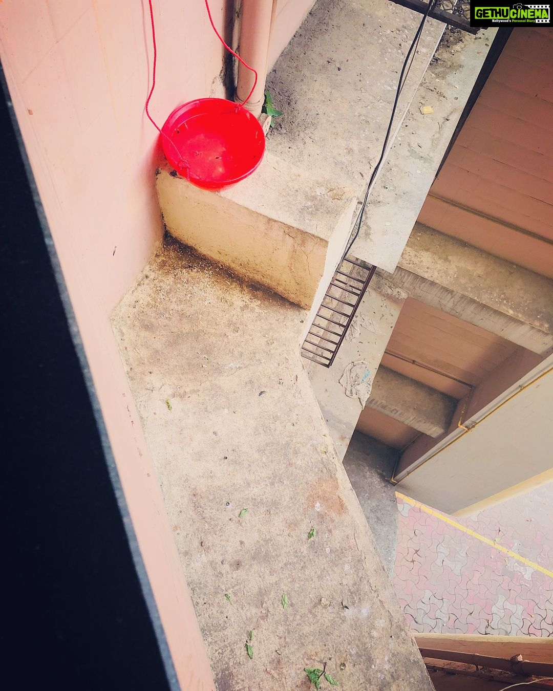 Gurleen Chopra Instagram - Please keep a bowl of water in your balcony of terrace SAVE BIRDS 🦅