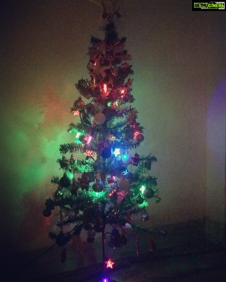 Gurleen Chopra Instagram - Hello everyone MERRY Christmas 🎄🌲🎄🎄🎄🎄🎄 Banjara Hills Road No 12. NBT Nagar