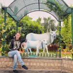 Gurleen Chopra Instagram – 🐄 …