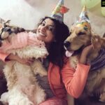 Hariprriya Instagram - Lucky, a wonderful soul, my first baby, my family.. He was an integral part of our lives. He spent his amazing 8.5 years with us and gave us only joy and beautiful memories. I always felt secure with him.. we played together, travelled together and annoyed each other. Lucky, to be honest.. I was lucky to have you. All I wanna say is be a good boy wherever you are headed and do talk to me if you recognise in your next birth. I'm sure you will be born again, somewhere close to me. It pains me to say good bye. We all miss you more than anyone luckuuu. Happy will miss you too.. Love you so much ❤️❤️❤️