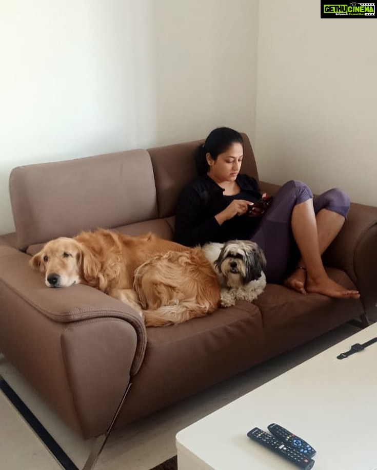 Hariprriya Instagram - Cozy Sunday mornings with my furry friends 🥰 #SundayFunday #sundayvibes #weekendgoals