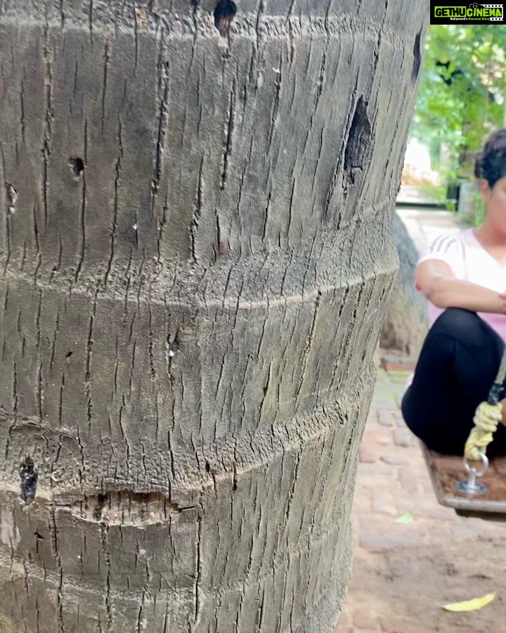 Hariprriya Instagram - You donβt have to control your thoughts π You just have to stop letting them control you π Stay calm and chant #OmNamahShivaya ππ» #MondayMotivation #mondaythoughts Kumbakonam